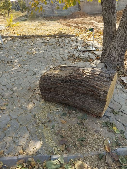 Кунда сотилади таййор