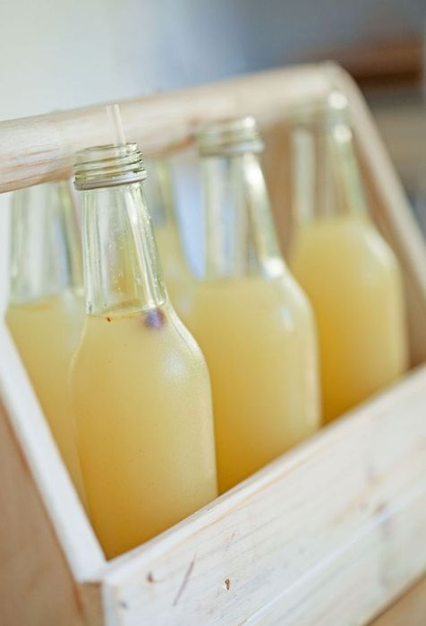 Tabiiy Olma Nok Shaftoli Mandalin Xurmı sirkalari