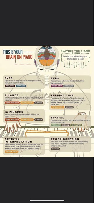 Cursuri de pian,canto, studii teoretice