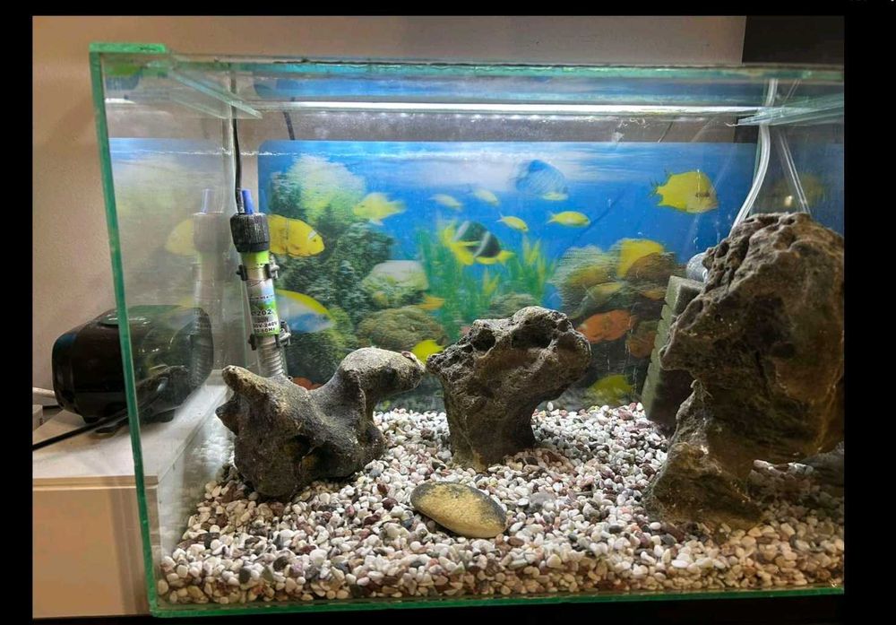 Аквариум  за рибки