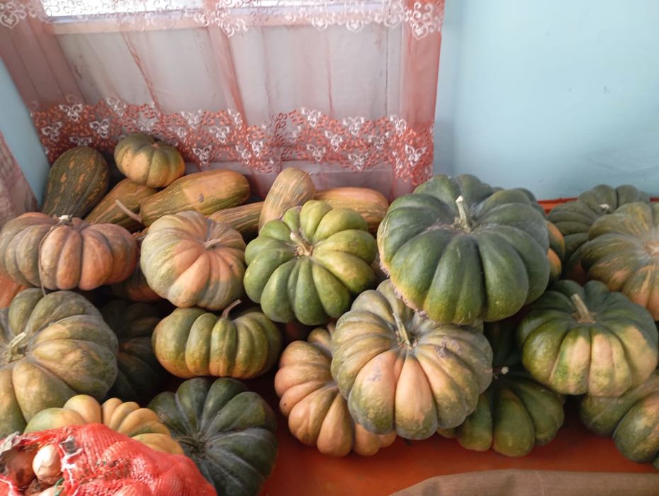 Продам тыквы разные