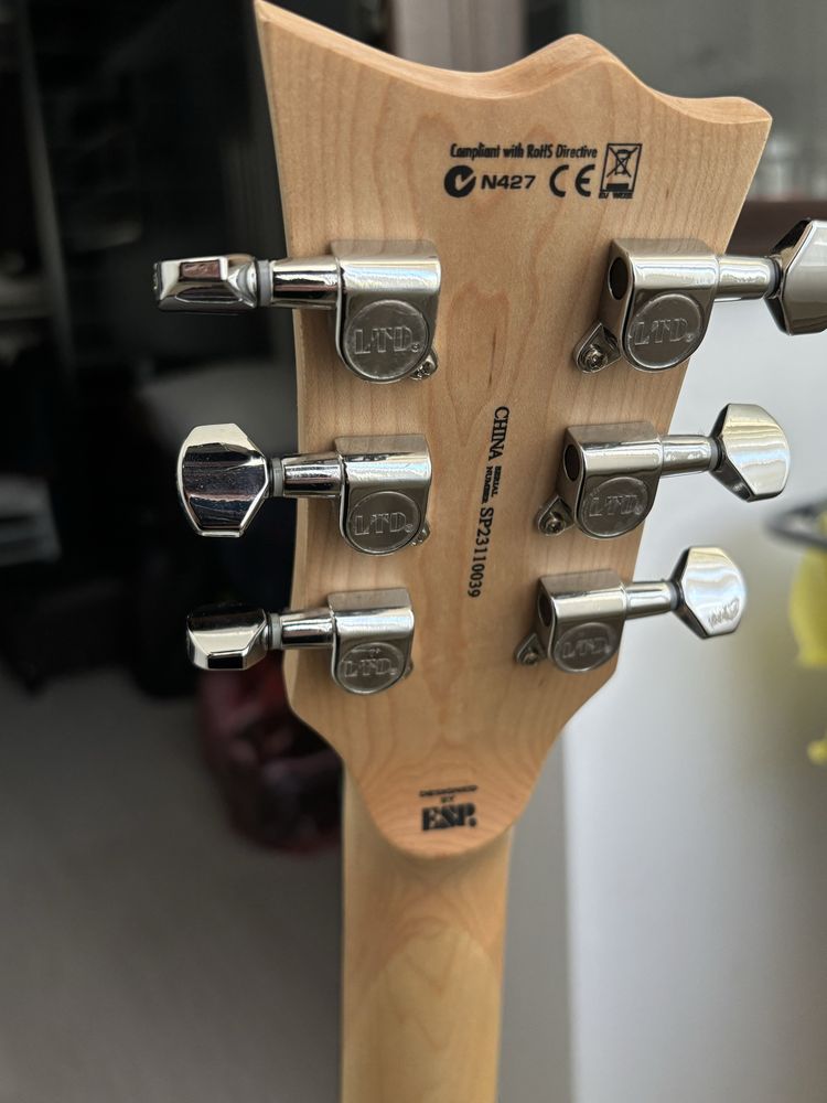 Chitara electrica ESP