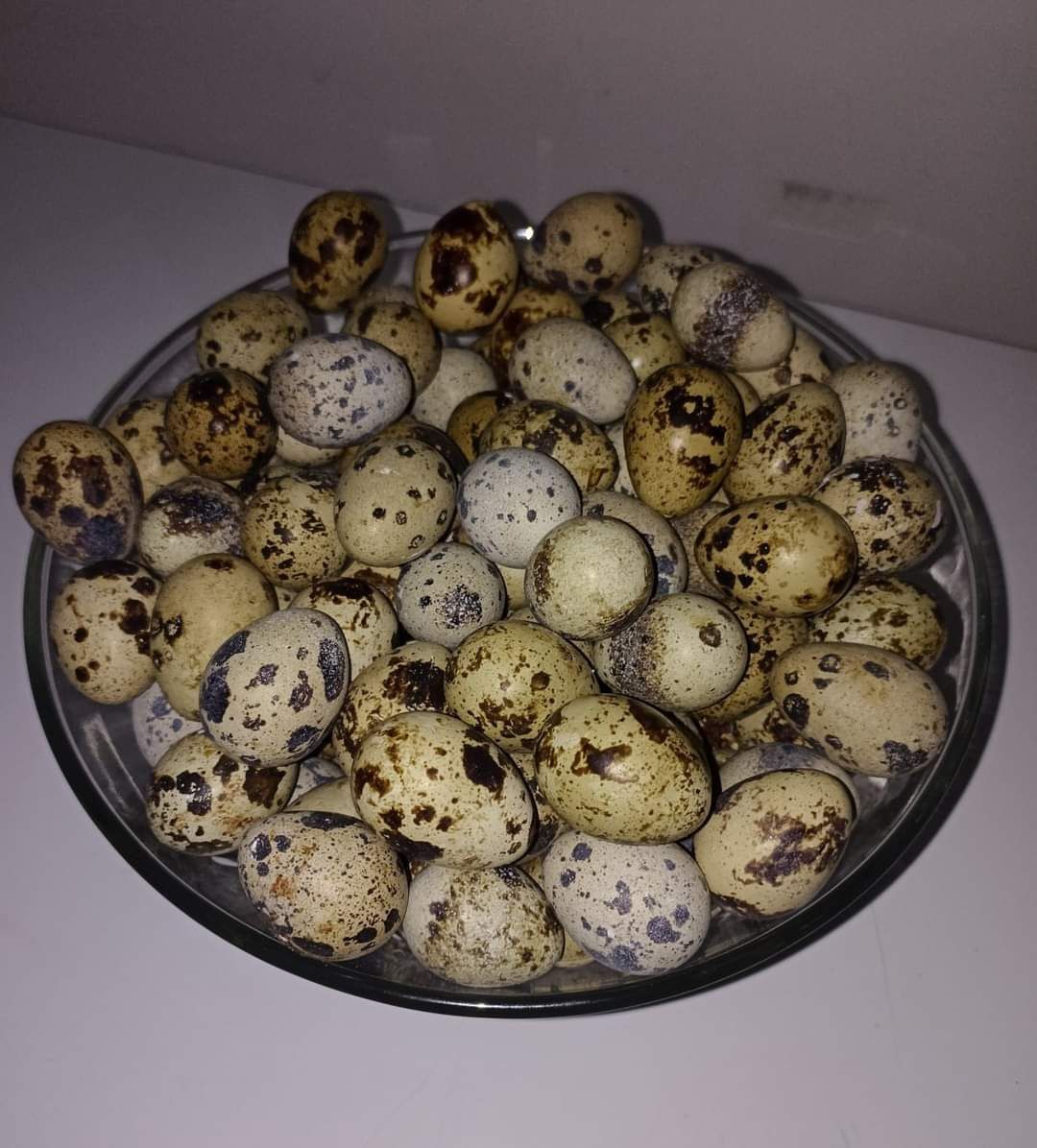Oua prepelițe (Siret,mănăstioara,Pădureni)