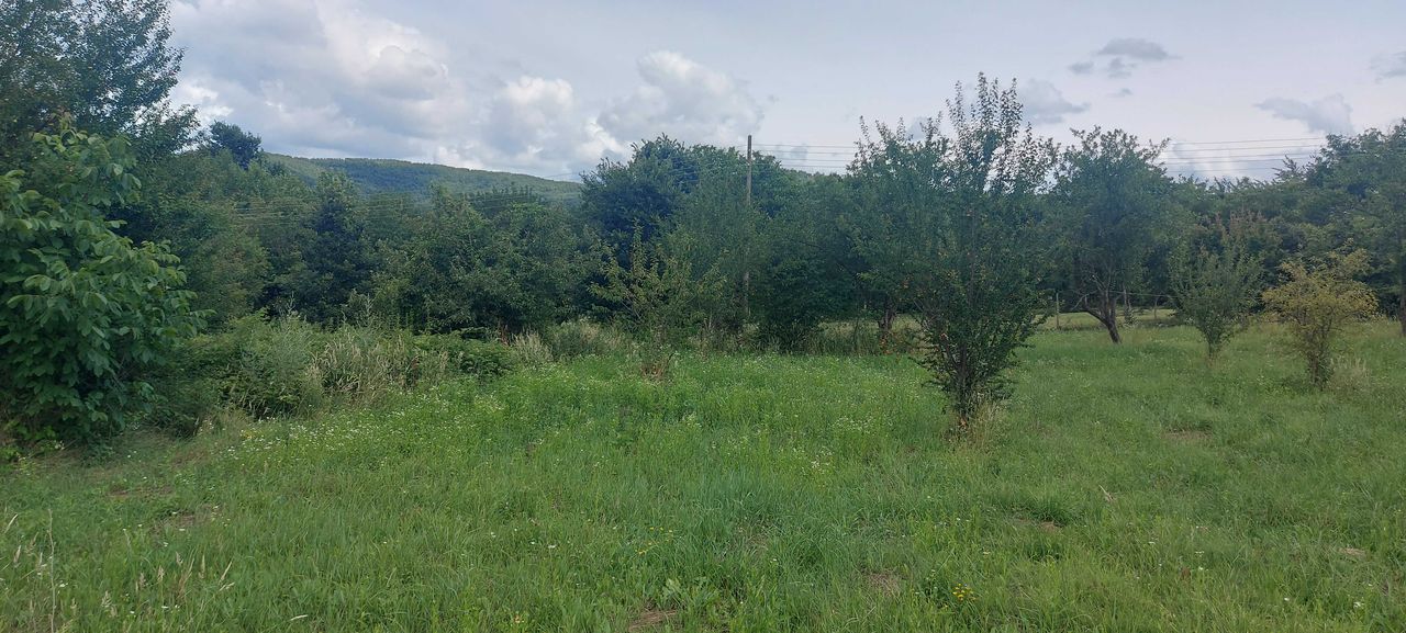 Продава се Къща в с. Стефаново, Област Ловеч - 20 кв.м за 1195 €/кв.м - Снимка #13