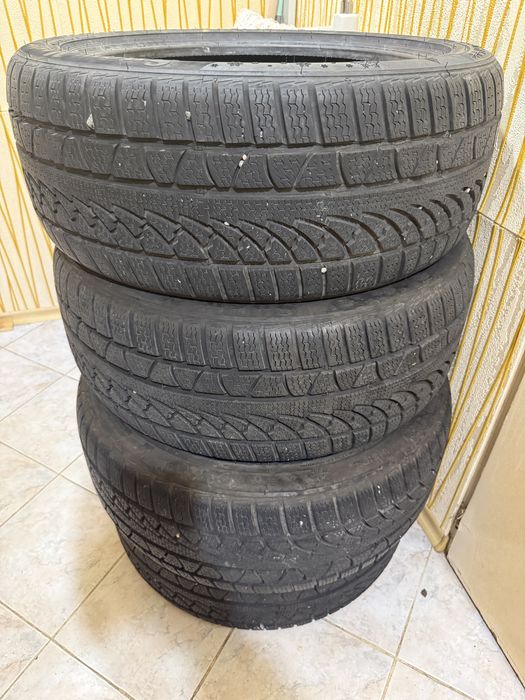 Зимни гуми петлас 245/45/19