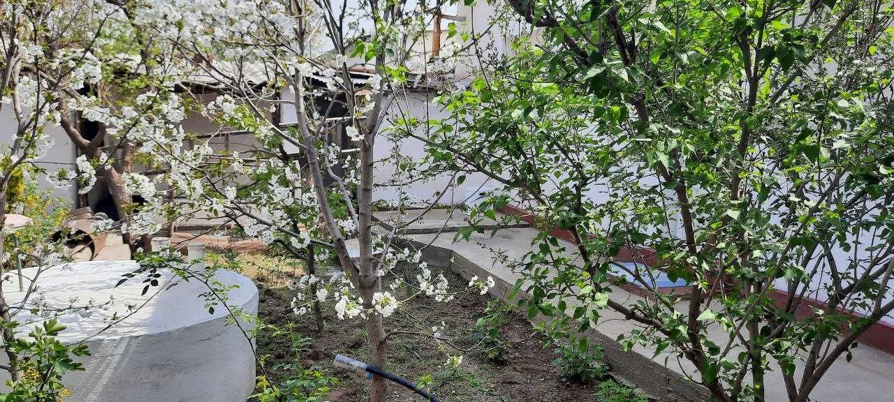 Продаётся дом,в г. Карши