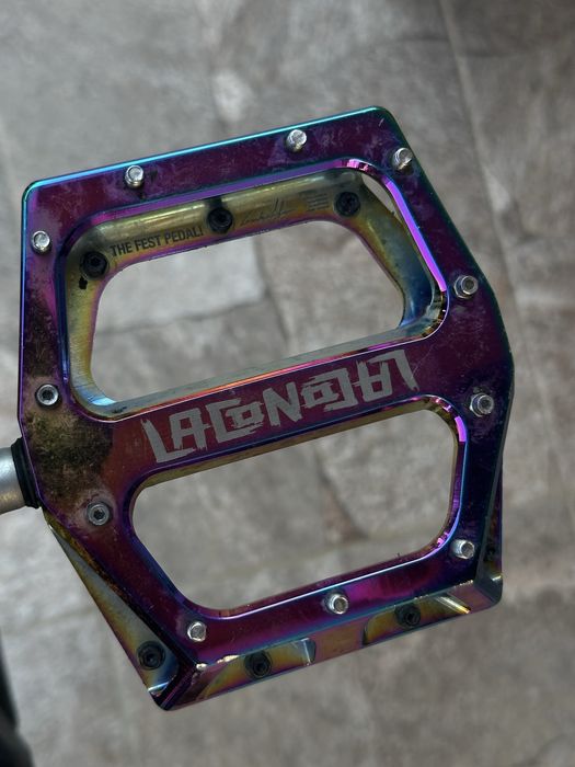 Scott Gambler 2019!!!