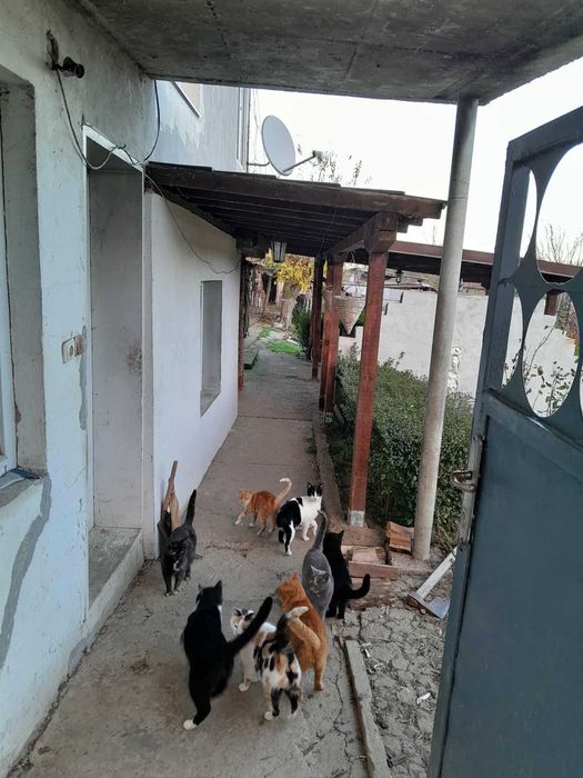 Къща в село Хотница