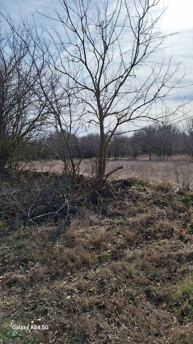 Продава се Къща в с. Нейково, Област Добрич - 90 кв.м за 182 €/кв.м - Снимка #7