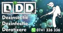 Dezinsectie Dezinfectie Deratizare