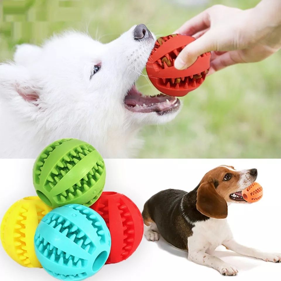 Топка-играчка за куче