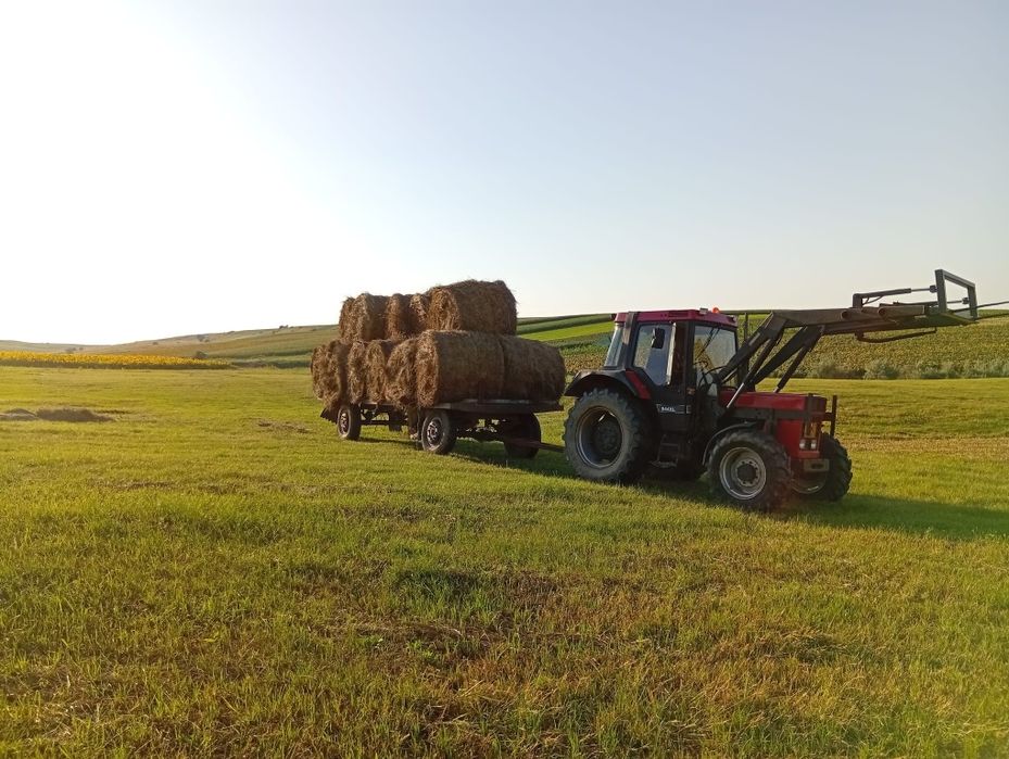 Baloti de vânzare 120/120