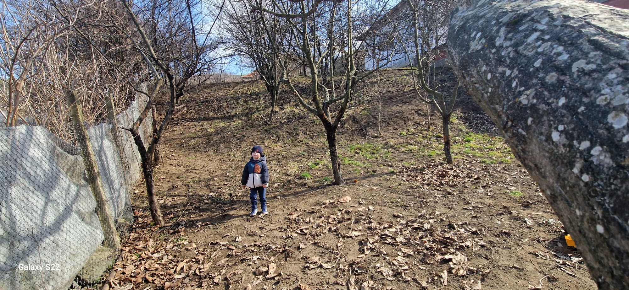 Парцел в регулация