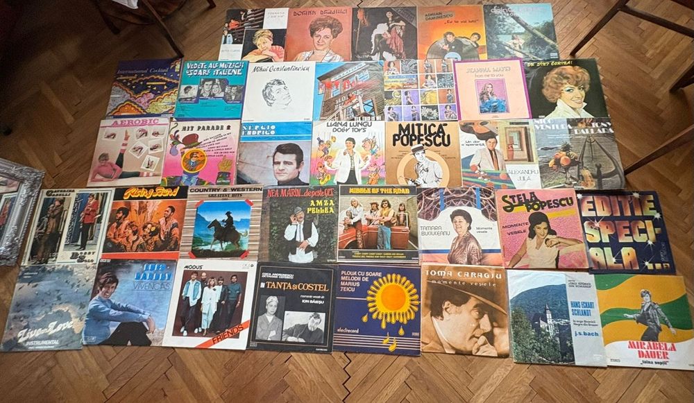 Discuri vinil de colectie