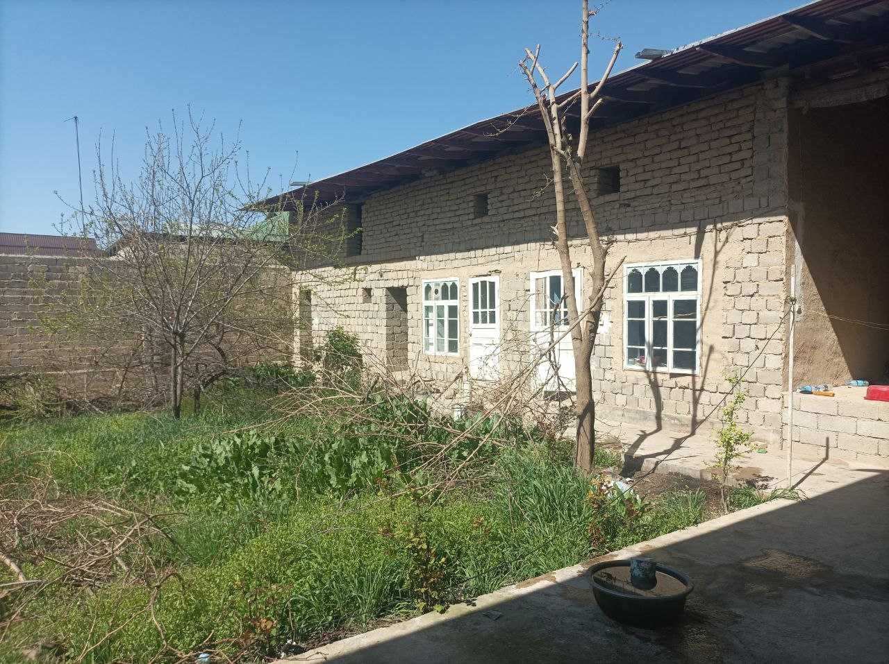 Hovli Qashqadaryo Viloyati SHAHRISABIZ shahar Yashil diyor mahalla