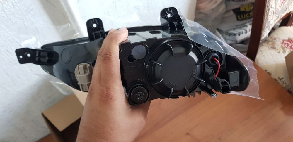 Жентра туманка. Туманний. Gentra tumanka.