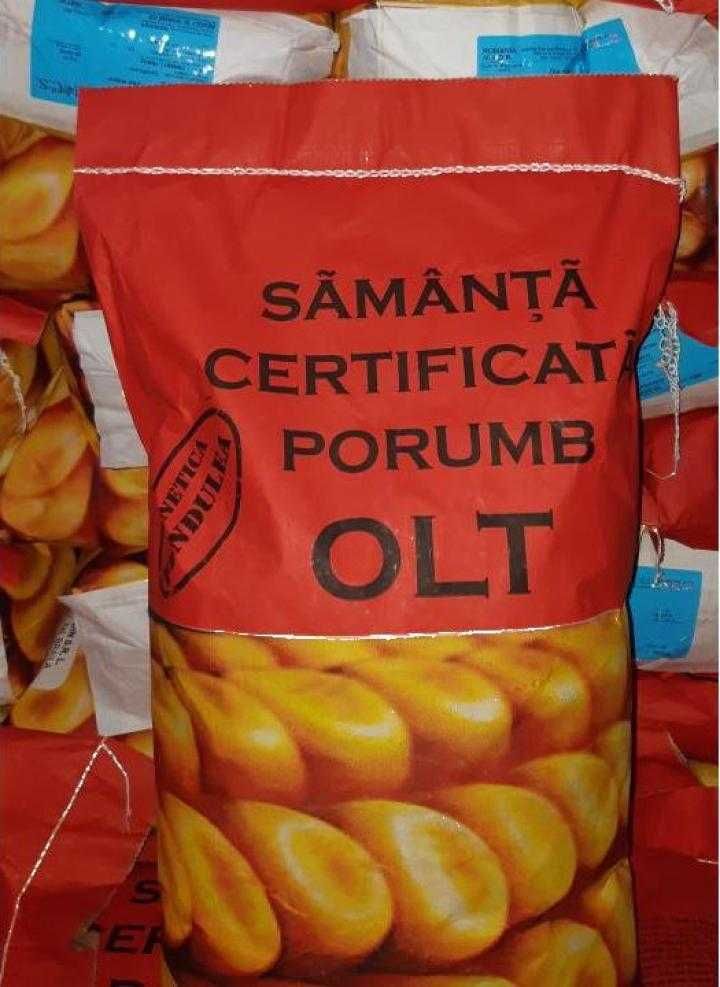 Samanta porumb OLT