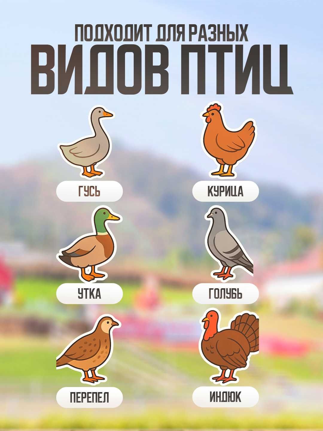 Инкубатор для яиц, 30/63/130 мест. Inkubator tuhum uchun