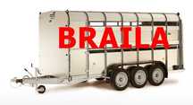 Transport animale vii 100% autorizat livestock Romania / international