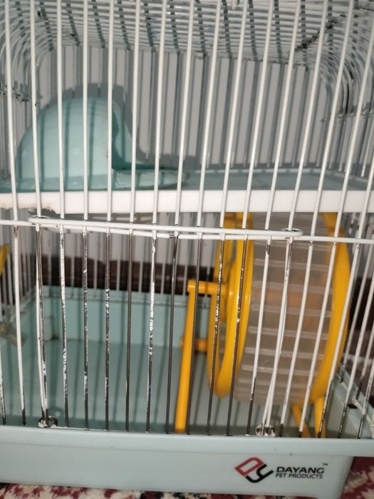 Продам хомяка город актобе