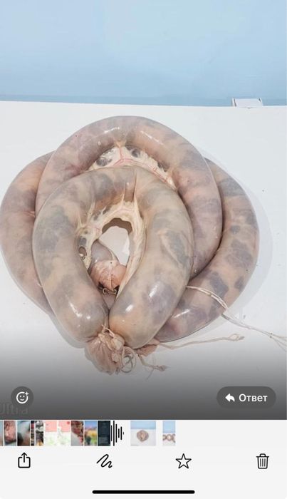 Продам Согым сирактап!!!табактап