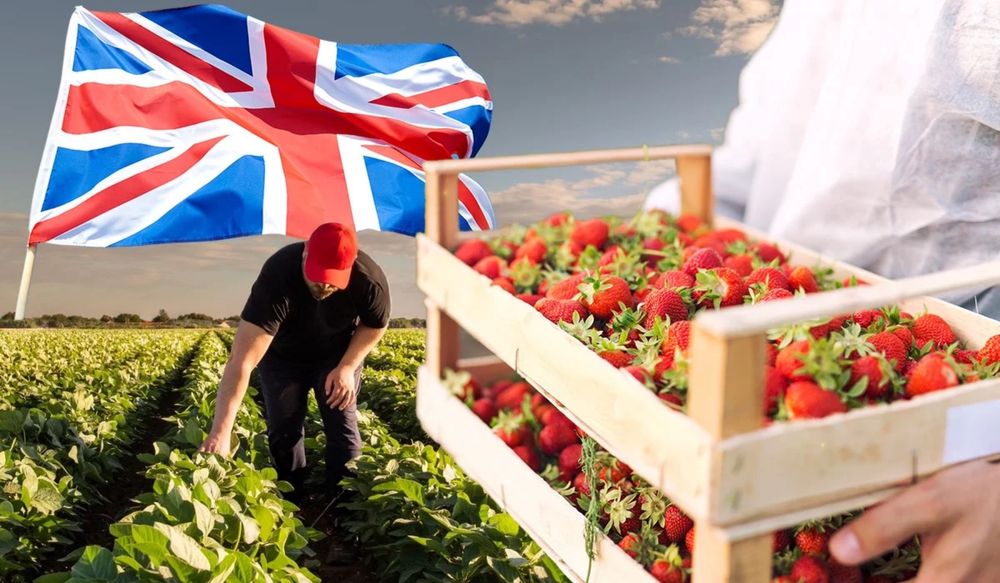 Англияда жұмыс жасағысы келетіндерге кәсіби көмек!