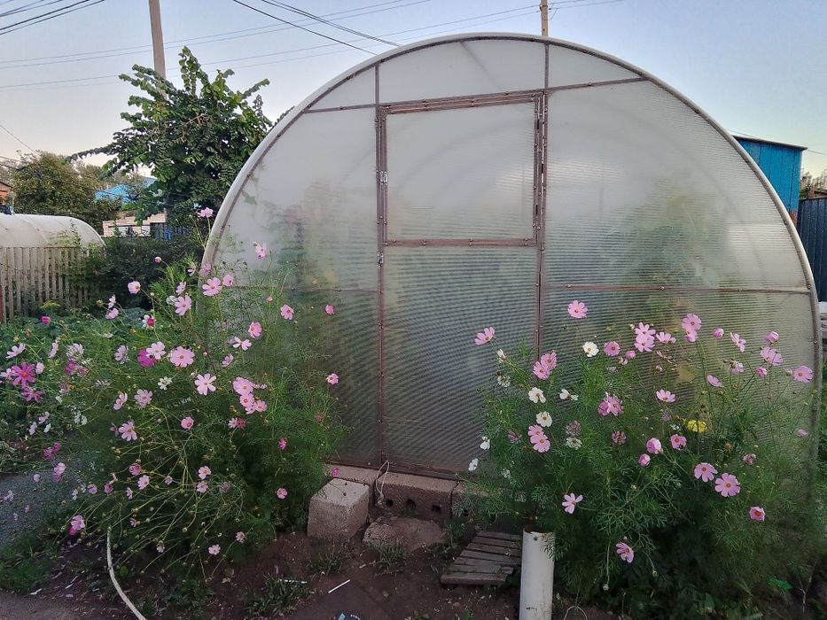 Продам дом срочно