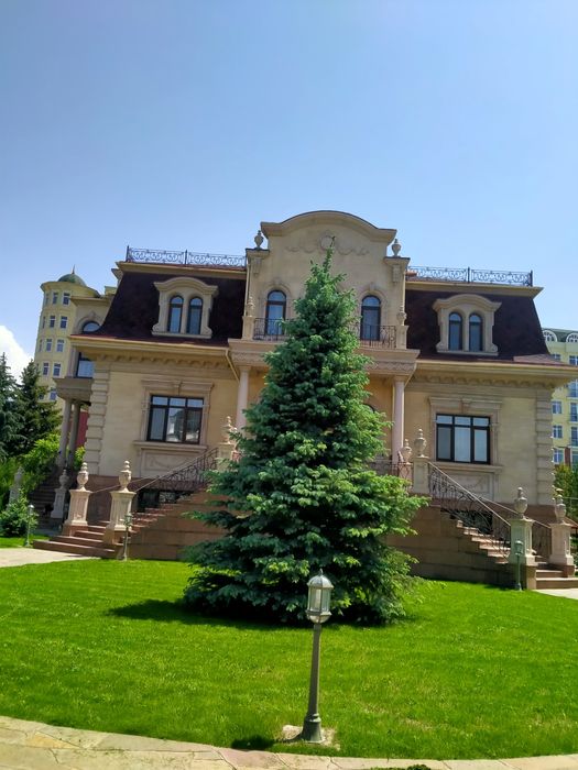 Газон клевер декоративный посев укладка