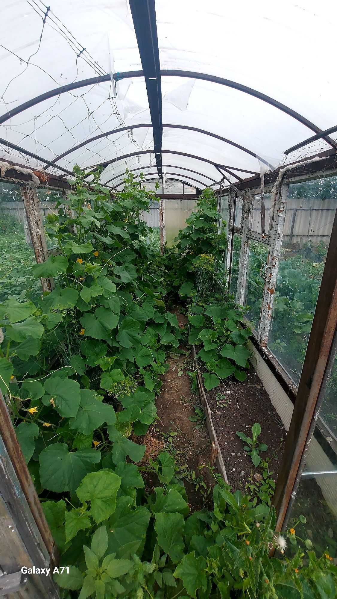 Продам дом  пос.Курьяновка