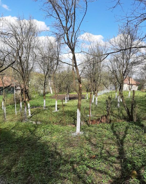 Vând teren și casă bătrânească sat Henig jud Alba