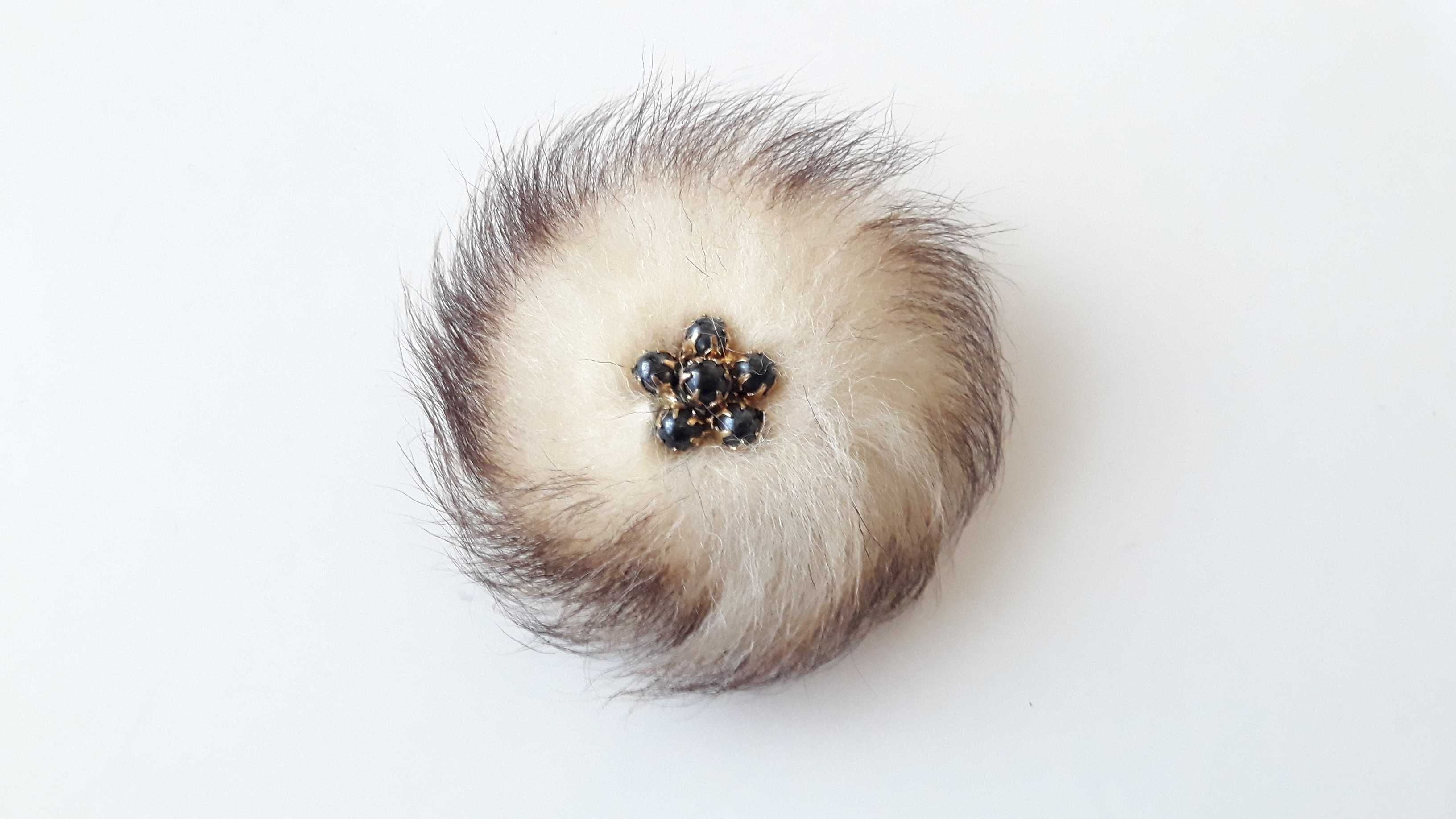 Insigna Accesoriu palarie Vanatoare