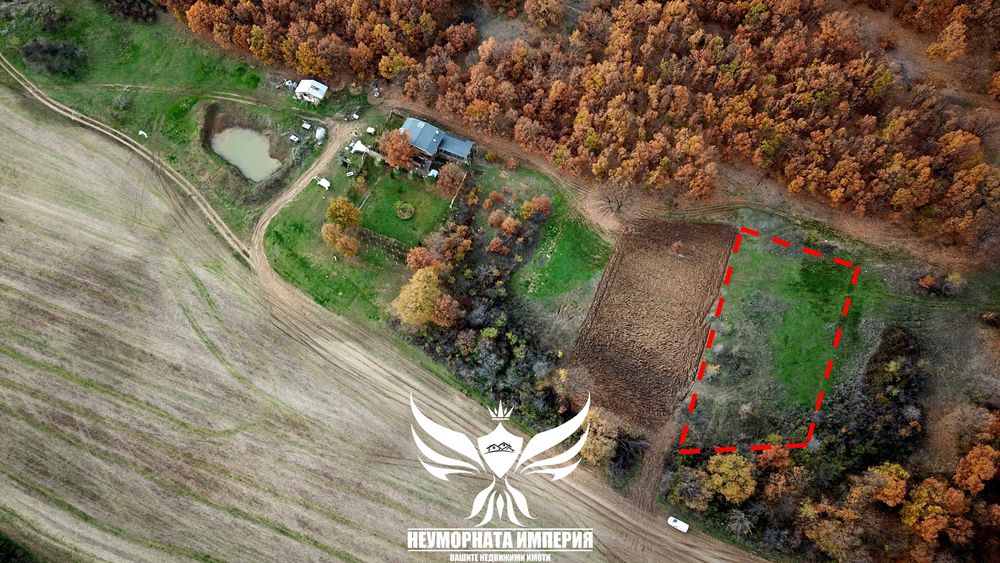 Продавам два броя земи в село Стоево 1120кв.м.  общ.Асеновград