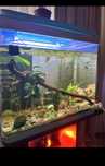 Acvariu 55L complet