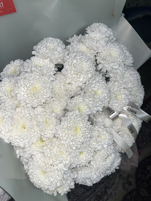 Хризантема букет цветов свежие