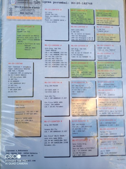 Voiajori cu pedigreu