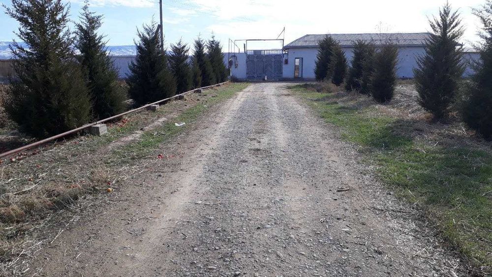 Теплица, паррандачилик, корамол Фермаси (птицеферма, иссикхона, чорва)