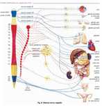 Meditatii BIOLOGIE admitere medicina
