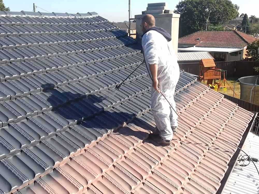 Vopsim orice tip de tabla pe acoperis la casa si alte suprafete