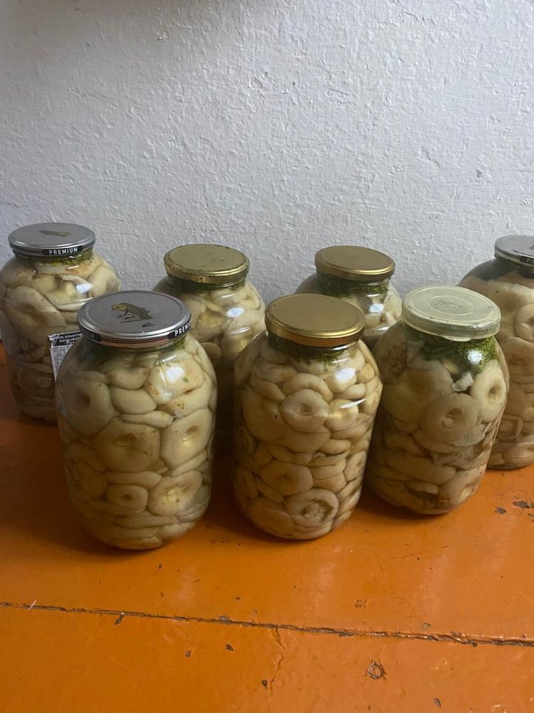 Соленые грузди.    .