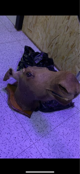 Продается в городе астана