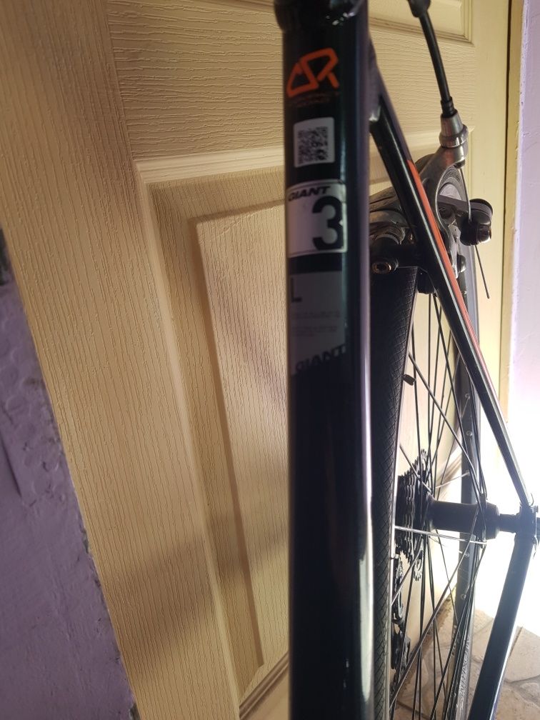 Cursiera Giant 2x11 speed
