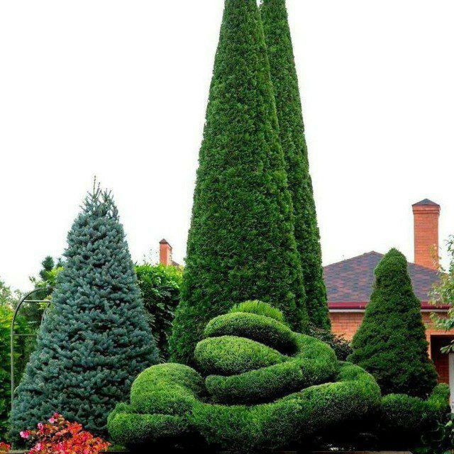 Ландшафтный  дизайн садовник богбон