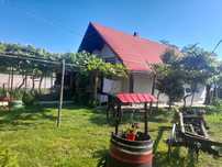 Casa+teren de vanzare