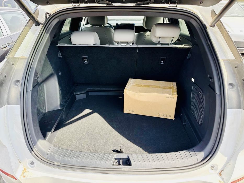 Byd Sea Lion 6 full pozitsia