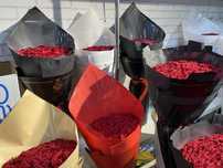 51-101 ta atirgulli buket gullar Jannatim Onam