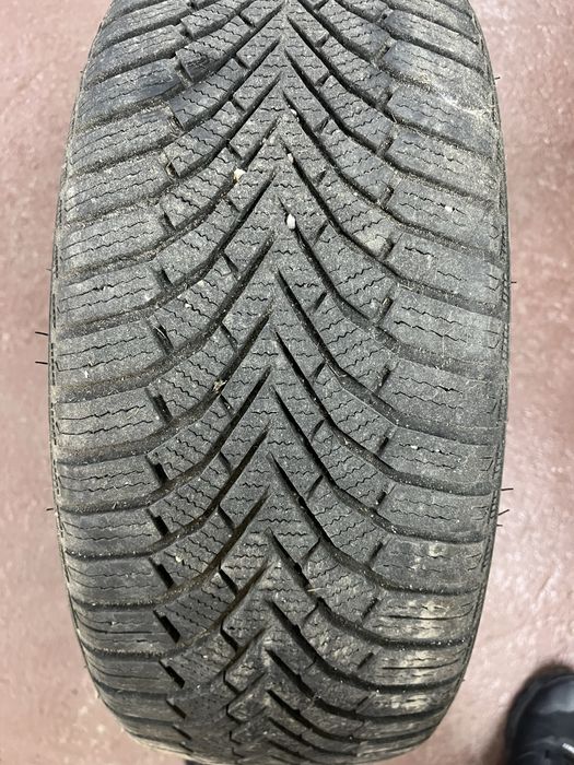 Продам зимнюю резину SAILUN