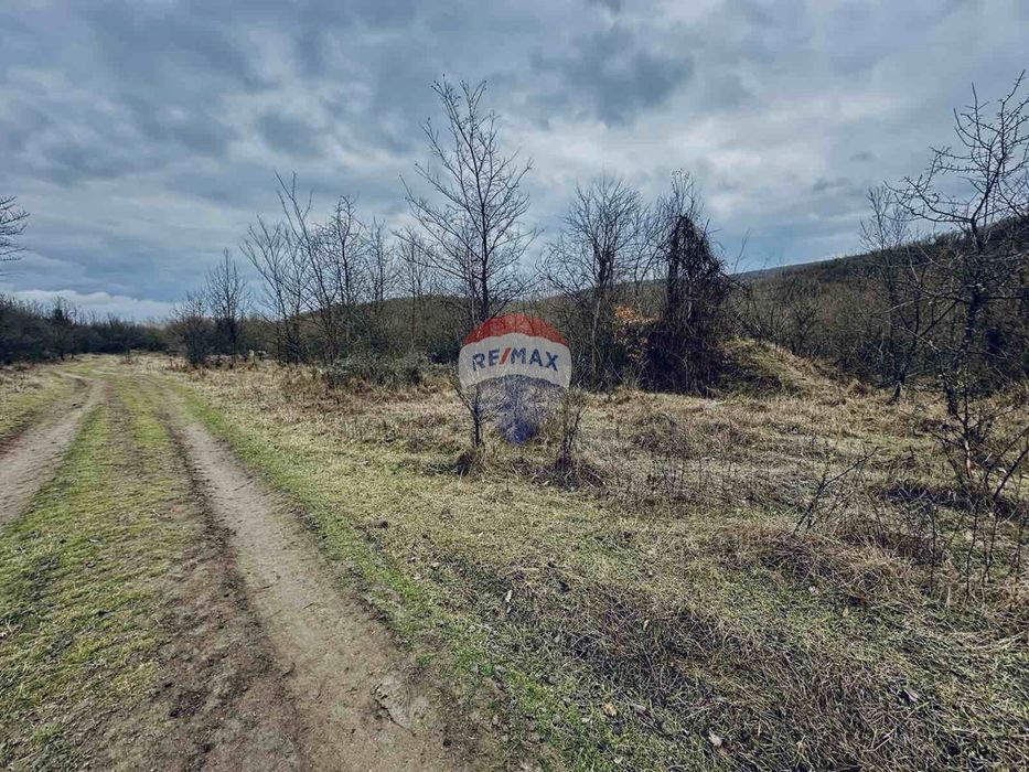 Продава се Парцел в с. Църква, Област Добрич - 25000 кв.м за 3 €/кв.м - Снимка #7