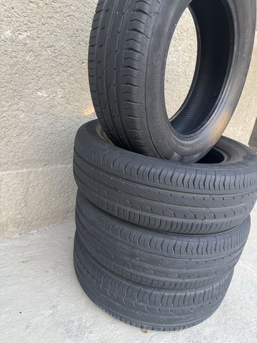 Cobalt Radnoy Shena Balon