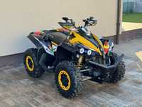 Can-Am Renegade XXC 800R (NU CfMoto/Suzuki/Polaris/Linhai)