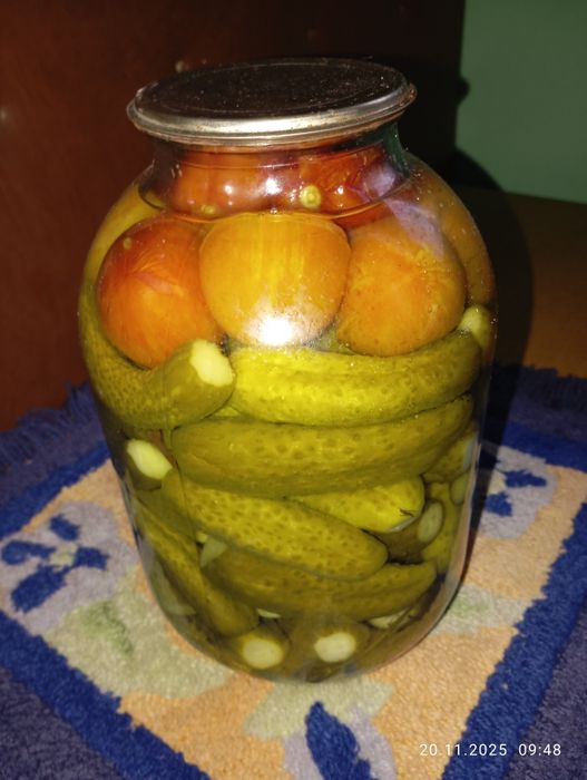 Огурцы свежий засол.